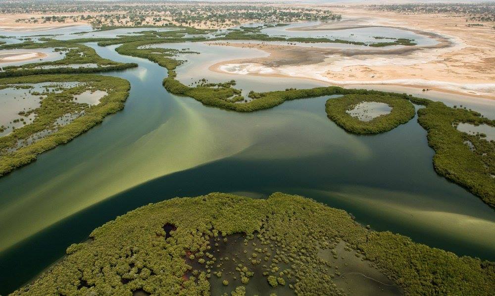Vue aérienne du delta du Sine et Saloum, Sénégal.