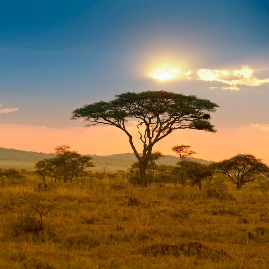 F122f2bb20b70e32840e69f17a85d826