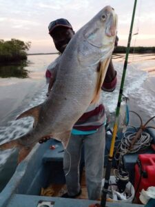 Guide tenant un capitaine capturé dans une coque ouverte dans le delta du Sine et Saloum
