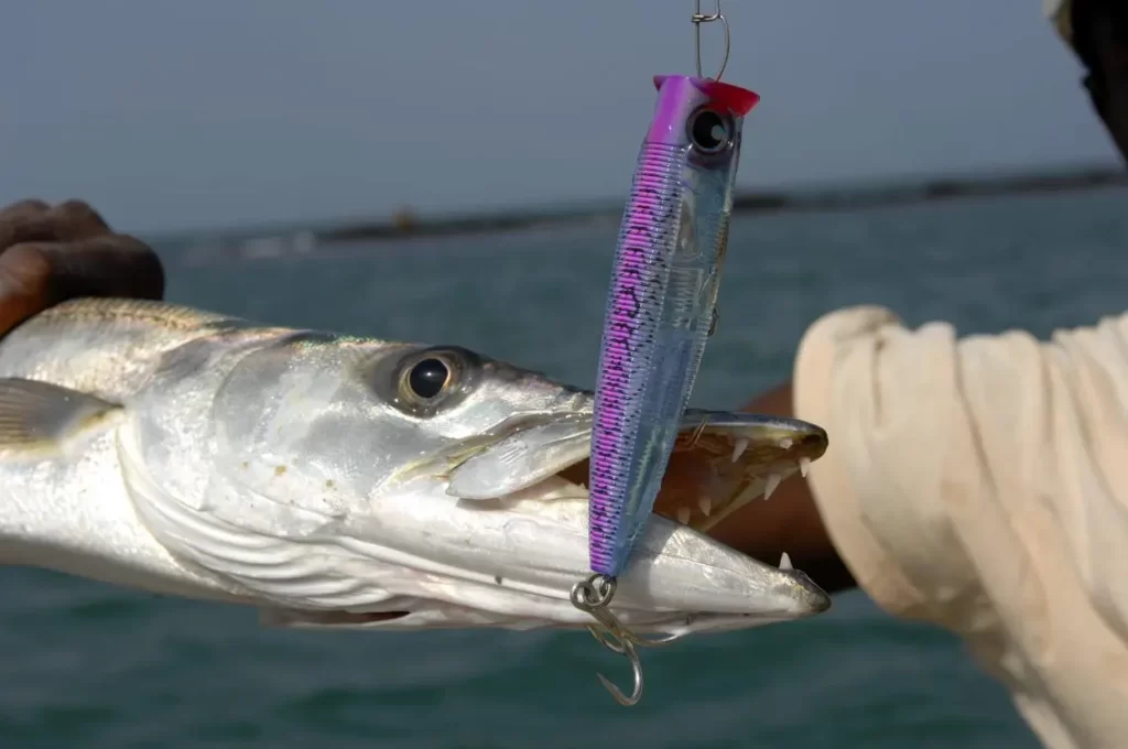 Peche sportive guinee bissau bijagos 8 1140x757 1.jpg