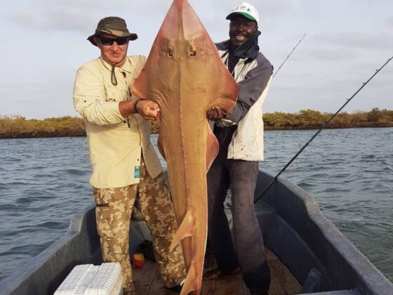 Pêcheur et guide tenant une raie guitare dans une coque ouverte dans le delta du Sine et Saloum