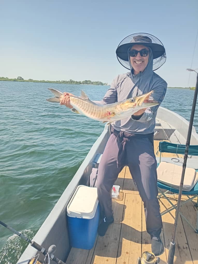 D1c84e56 94b7 487d bdb7 c58feada70f4