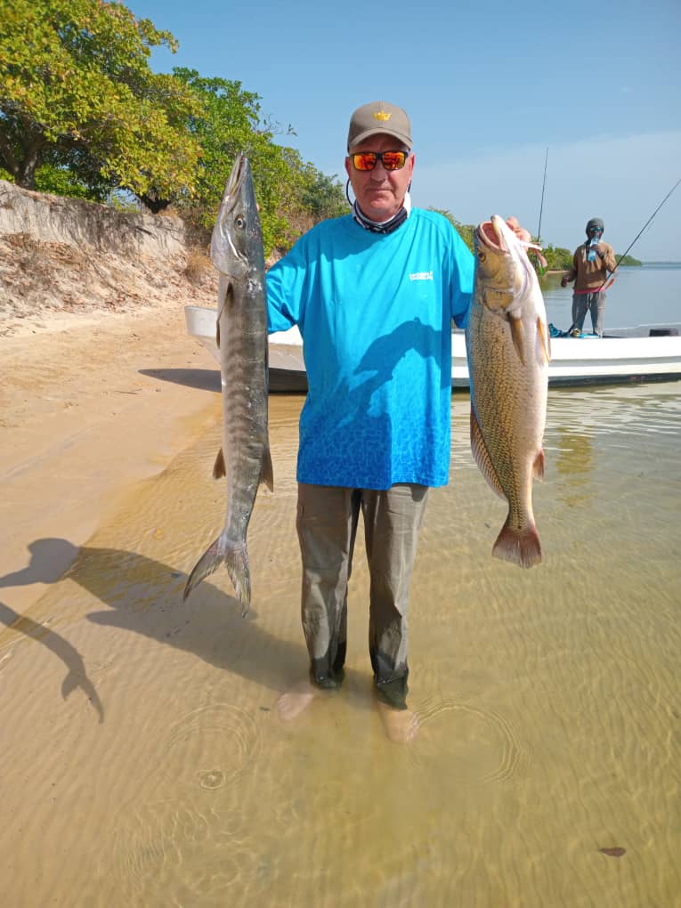 B66459bd 31aa 48df a848 f90065f17609