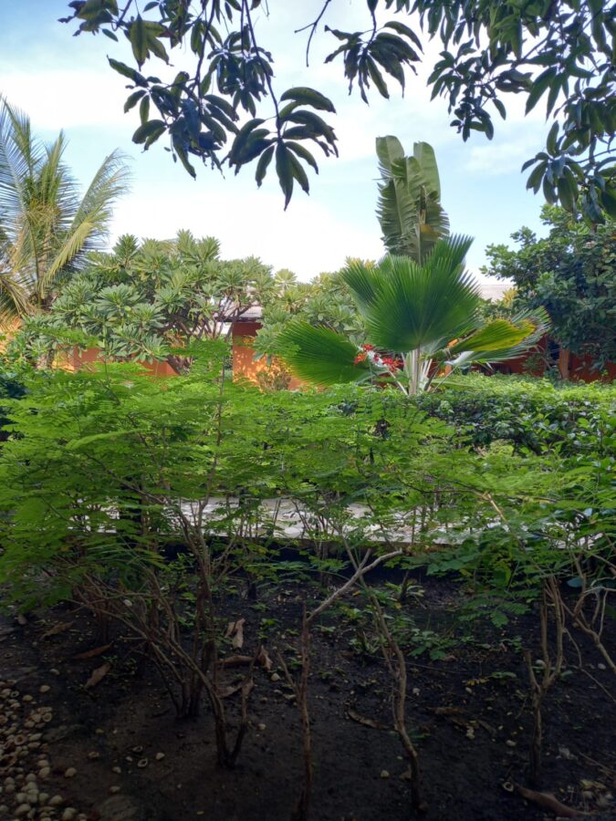 7ab1bd9e 971d 45dc b2bf 29bfacc0f12c