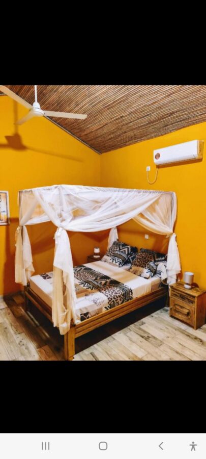 Screenshot 20250203 182133 Pulse