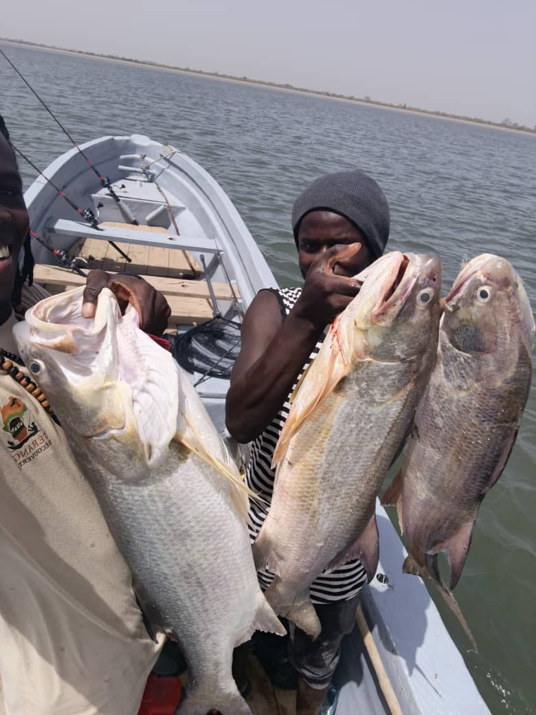 Pêche dans le Sine Saloum · Téranga Découvertes pêche dans le Sine Saloum — bolongs et mangroves