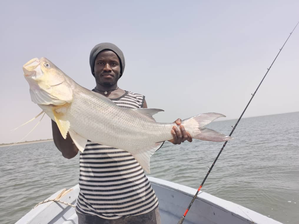 Pêche à la calée dans le Sine Saloum · Téranga Découvertes pêche à la calée Sine Saloum — techniques bolongs