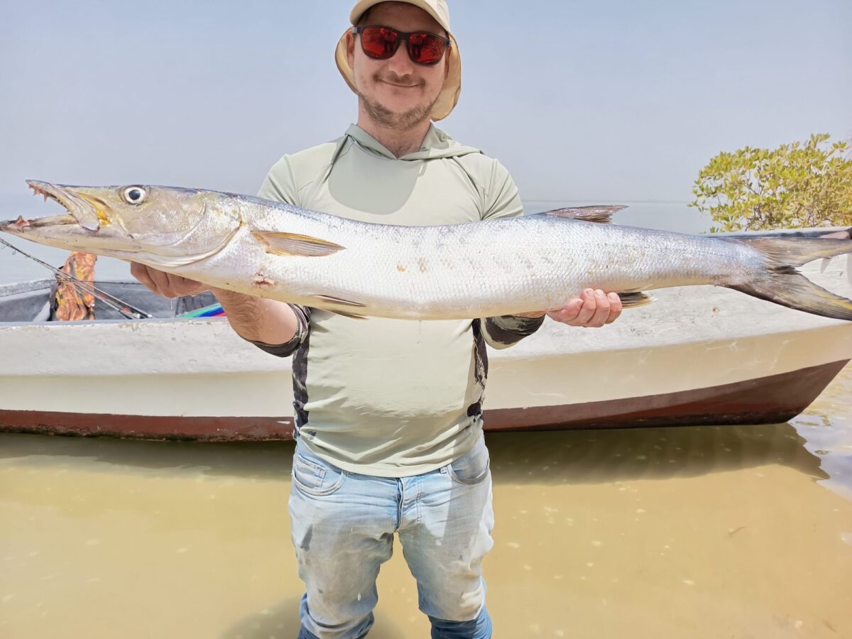Espèces de poissons au Sénégal · Téranga Découvertes quel poisson au Sénégal — espèces pêchées