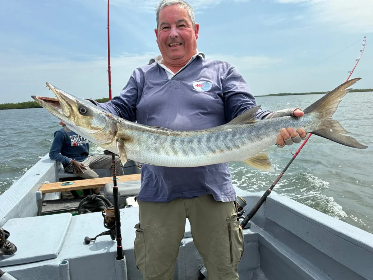 Barracuda pêché dans le Sine Saloum avec Téranga Découvertes