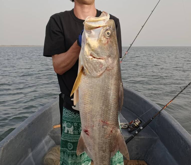Pêcheur tenant un énorme capitaine capturé lors d'une sortie de pêche sportive dans le delta du Sine Saloum au Sénégal.