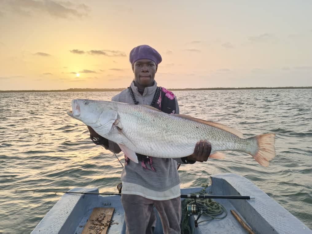 Pêche au Sénégal — bolongs · Téranga Découvertes pêche au Sénégal — bolongs Sénégal
